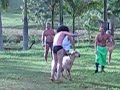 Pelada com o Bode