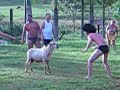 Pelada com o Bode