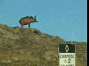 Hilltop Art in Riverside Ca.
