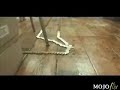 10000 pounds (englands currency) dominoes
