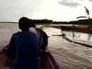 Balade sur l'Amazone