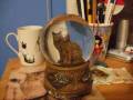 Cat Globe Cat Globe