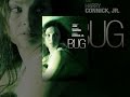 Bug