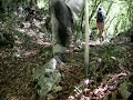 UN-CHEMIN-DE-PROMESS