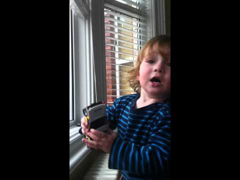 paddy power cheltenham