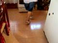 COPULAME.....SOS DE MADERA NO EXISTIS