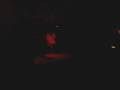 videos de The Deceivers - Dafodills (Acústico)