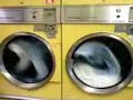 2 Minuets at the Launderette