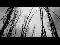videos de oab promo good.mov