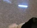 anber video 2