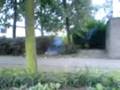 videos de nitraat vs taart