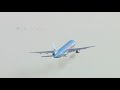 Thomson 757 Birdstrike