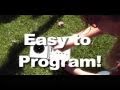 Hawk Decoys Scare Away Pigeons and Pest Birds default Hawk Decoys Scare Away Pigeons and Pest Birds
