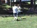 i box a fat guy