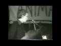 videos de Alternative Animals (part 3)