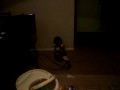 BABY,FUNNY,LOL