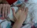 Doggie Neck Massage 犬式頸部按摩