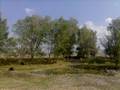 BOLU D�RTD�VAN CEMALLER