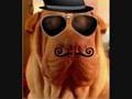 agentes 007