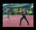 ACROBATOS (TORNEO PONTEVEDRA)