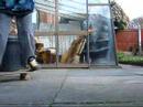 1 foot 720 kickturn for gos8 1 foot 720 kickturn for gos8