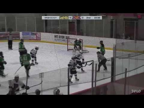 Daud Musaev's Key Goal! Panthers Closing In on Cougars