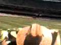 videos de Day 3 boxing day test,2008,Most would remember Shazza from Bay 13