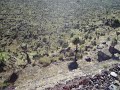 A view from the top of a Pyramid in Cantona