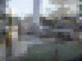 Negro Teaser