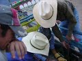 Raul Rdz Toro El PeKaZ