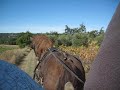 Week End � QUINSON - Charette