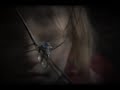 Sans faire un bruit - Cecile Corbel