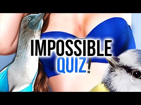 how to discover your purpose quiz