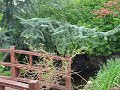 roof top garden roof top garden