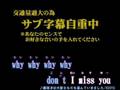 組曲『ニコニコ動画』を漢らしく歌ってみた [いさじ]