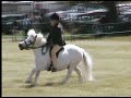 Riccalton Flint at Fife Show 2007
