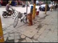 Cão cuida da bicicleta de seu dono ! INCRÍVEL | Bicycle watch dog LOL !