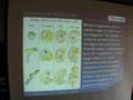 Ocean Life 2 - How Scientists Classify
