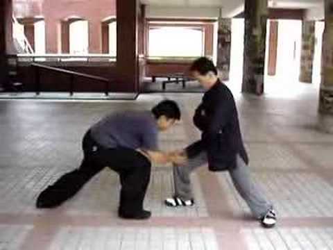 taijiquan (TaiChiChuan)demonstrated by Master Wu.���˷�����--����Ҧ