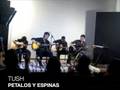 Tush-Petalos y espinas (Acustico Reforma)