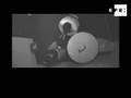 Documental-denuncia-