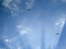 avions