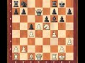 White vs The Pirc 3.1