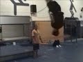 Treino na Academia 2. Treino na Academia 2.