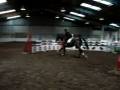 videos de 7 yrs 16 hh Brown Welsh X Haywards Heath