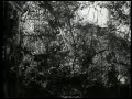 Tarzan