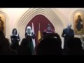 Artists from Timisoara Opera sing beauttiful carols in Caransebes .