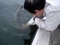 Releasing 15 Lbs Lunker