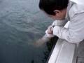Releasing 15 Lbs Lunker