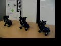Aibo Drama